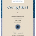Powiększ obraz: certificate 3