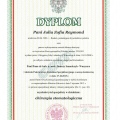 Powiększ obraz: certificate 2