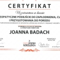 Powiększ obraz: certificate 6