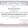 Powiększ obraz: certificate 23