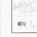 Powiększ obraz: certificate 7