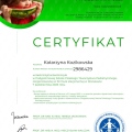 Powiększ obraz: certificate 3