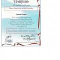 Powiększ obraz: certificate 5