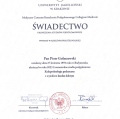 Powiększ obraz: certificate 1