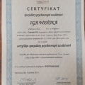 Powiększ obraz: certificate 1