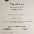 Powiększ obraz: certificate 9