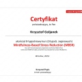 Powiększ obraz: certificate 9