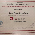 Powiększ obraz: certificate 11