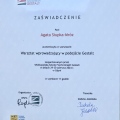 Powiększ obraz: certificate 2