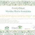 Powiększ obraz: certificate 8