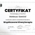Powiększ obraz: certificate 9