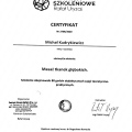 Powiększ obraz: certificate 1