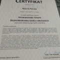 Powiększ obraz: certificate 3