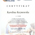 Powiększ obraz: certificate 39