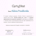 Powiększ obraz: certificate 6
