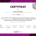 Powiększ obraz: certificate 2