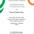 Powiększ obraz: certificate 60