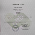 Powiększ obraz: certificate 1