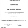 Powiększ obraz: certificate 2