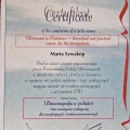 Powiększ obraz: certificate 3