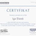 Powiększ obraz: certificate 4