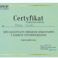 Powiększ obraz: certificate 6