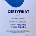 Powiększ obraz: certificate 2