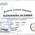 Powiększ obraz: certificate 2