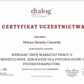 Powiększ obraz: certificate 49