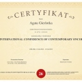 Powiększ obraz: certificate 211