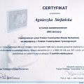 Powiększ obraz: certificate 2