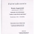 Powiększ obraz: certificate 8