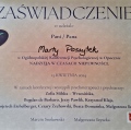 Powiększ obraz: certificate 2