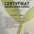 Powiększ obraz: certificate 8