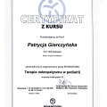 Powiększ obraz: certificate 13