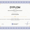 Powiększ obraz: certificate 6