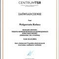Powiększ obraz: certificate 2