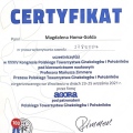 Powiększ obraz: certificate 19