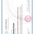 Powiększ obraz: certificate 1