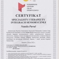 Powiększ obraz: certificate 2