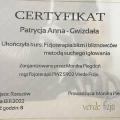 Powiększ obraz: certificate 5