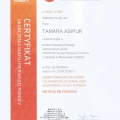 Powiększ obraz: certificate 1