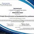 Powiększ obraz: certificate 2