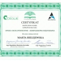 Powiększ obraz: certificate 8