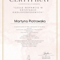 Powiększ obraz: certificate 1