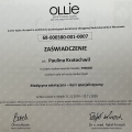 Powiększ obraz: certificate 3