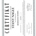 Powiększ obraz: certificate 9