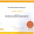 Powiększ obraz: certificate 31