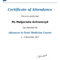 Powiększ obraz: certificate 2