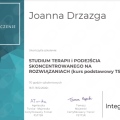Powiększ obraz: certificate 1